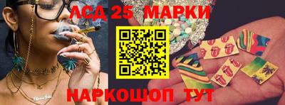 СК Можга