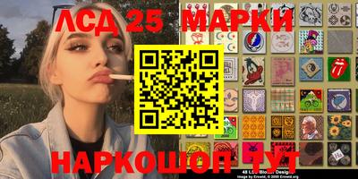 СК Моздок