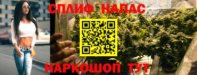 СК Можга