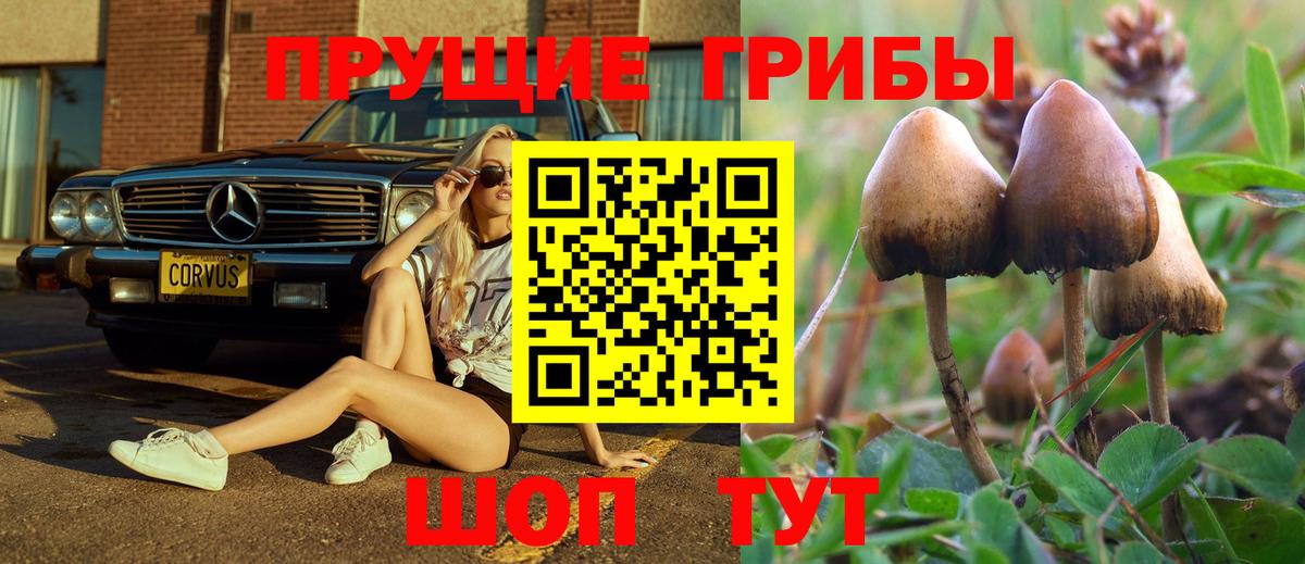 Галлюциногенные грибы прущие грибы  Вход с VPN  Псилоцибиновые грибы Magic Shrooms  купить  цена  Пугачёв 