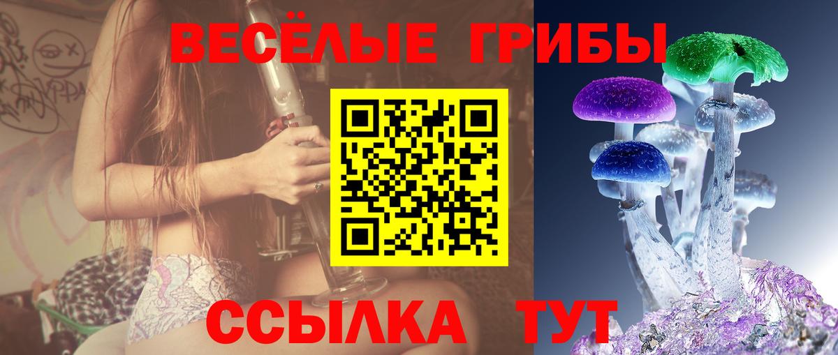 Псилоцибиновые грибы Cubensis Пугачёв